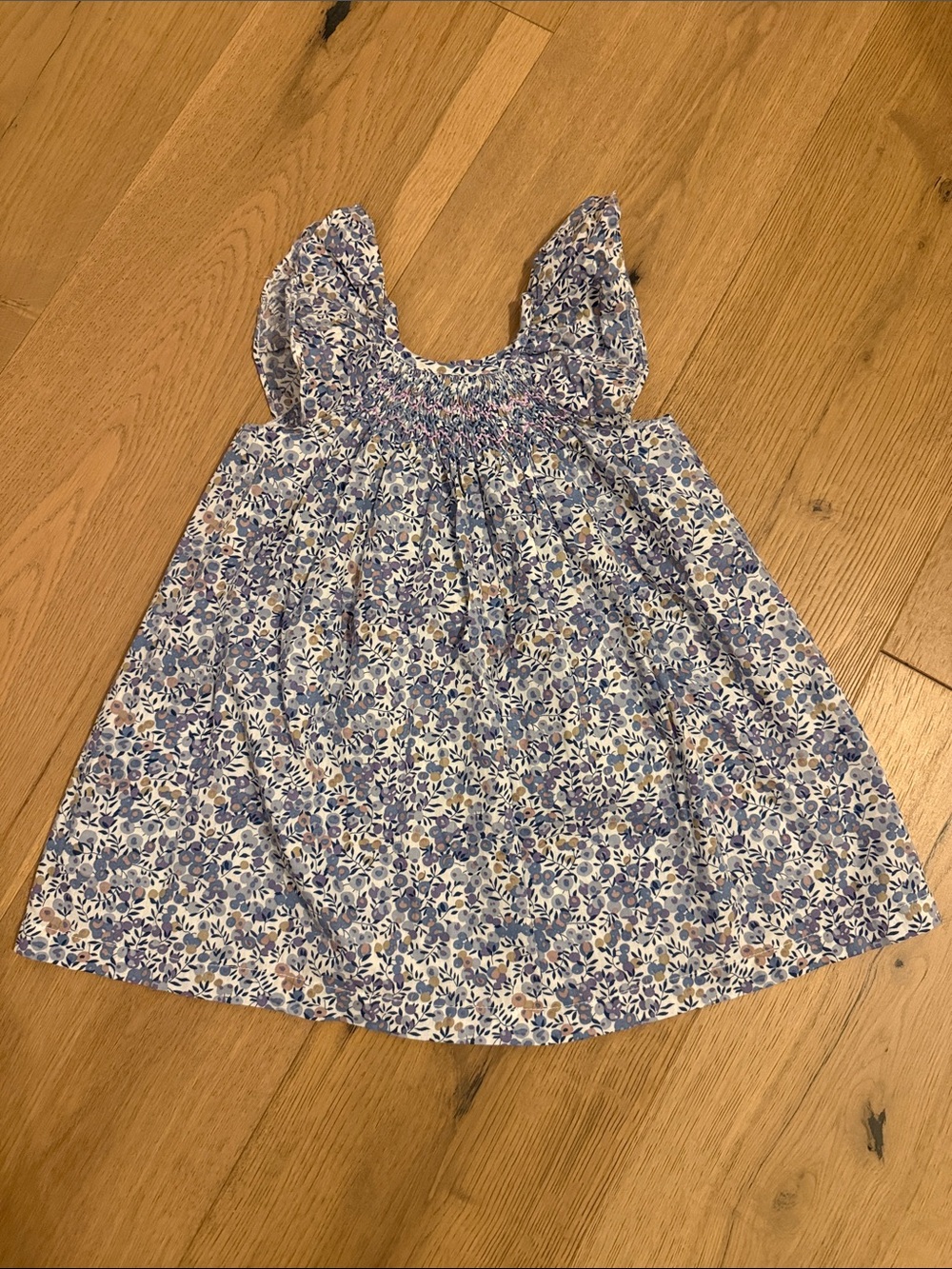 Gil & Niya Girls Blue Floral Smocked Ruffle Sleeve Kids Dress